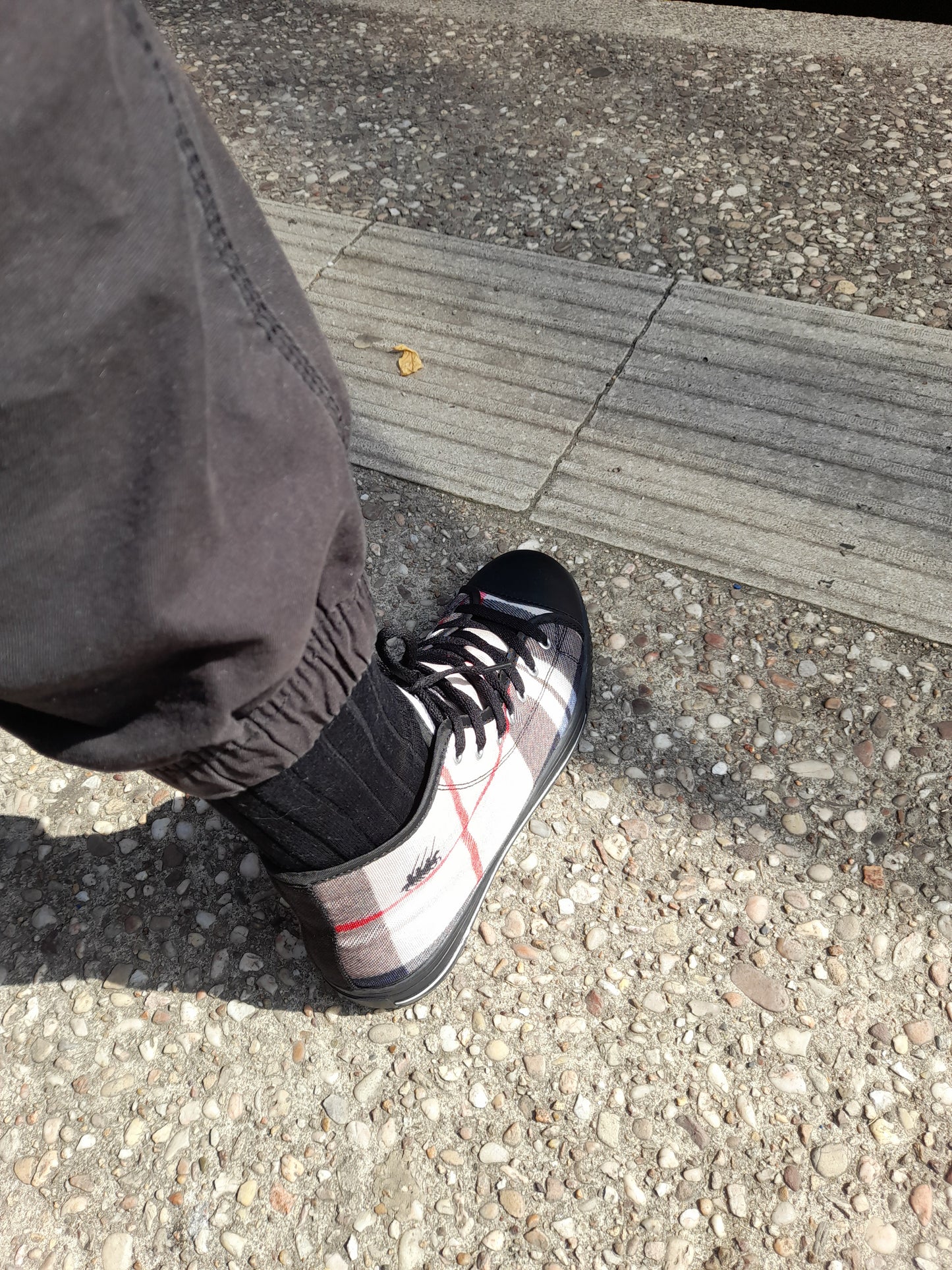 Basket TBRDA DIMA* Tbourida
