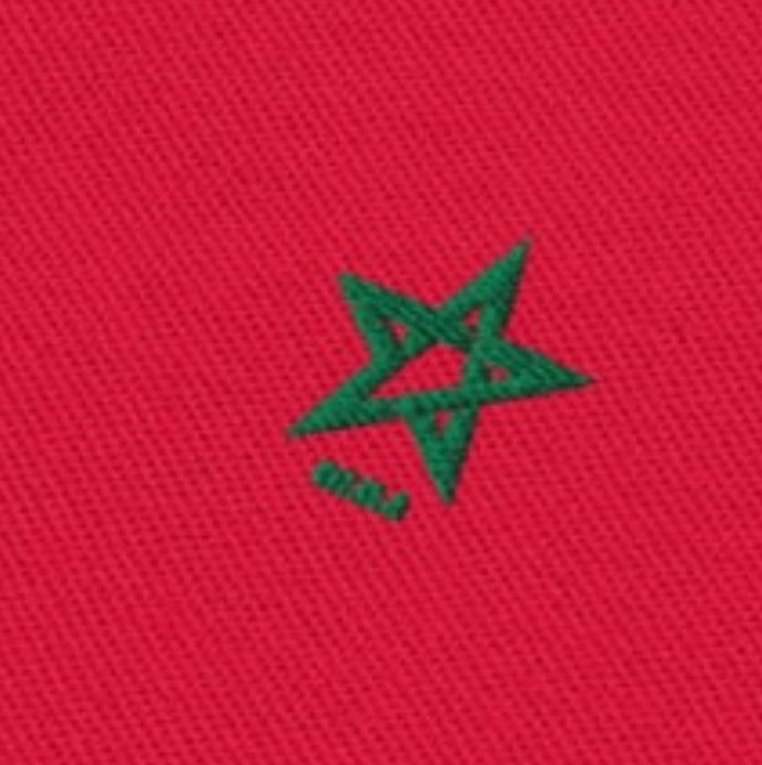 Polo brodé étoile Maroc DIMA*